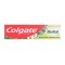 Colgate Toothpaste 100ml Herbal 